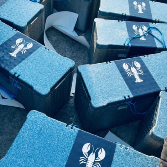 Live Crab & Shrimp Box - Insane Value!