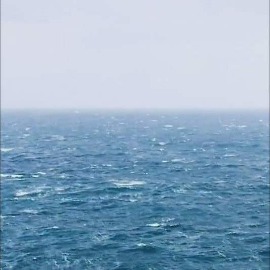 Super Colossal Red King Crab Legs